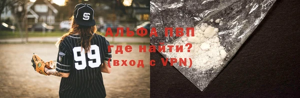 спиды Бородино