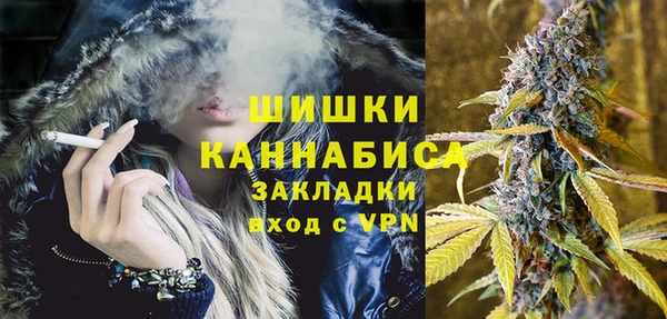 спиды Бородино