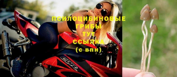спиды Бородино
