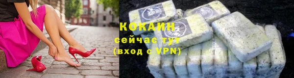 спиды Бородино