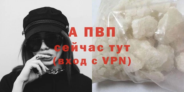 спиды Бородино