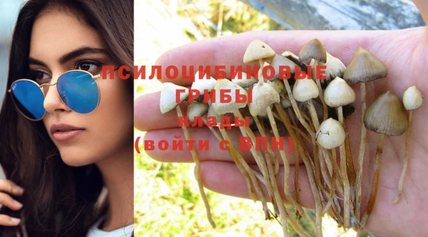 спиды Бородино