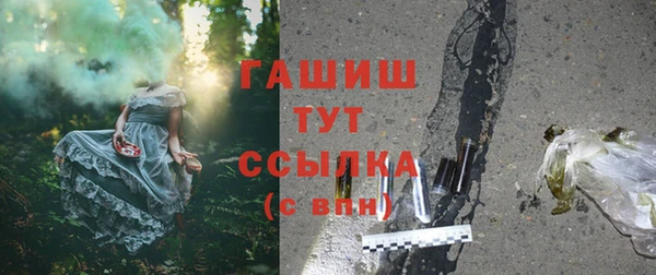 спиды Бородино