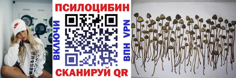 Псилоцибиновые грибы ЛСД Вязники