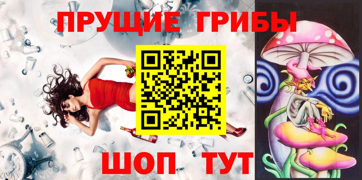 Псилоцибиновые грибы прущие грибы  Вход с VPN  Вязники 