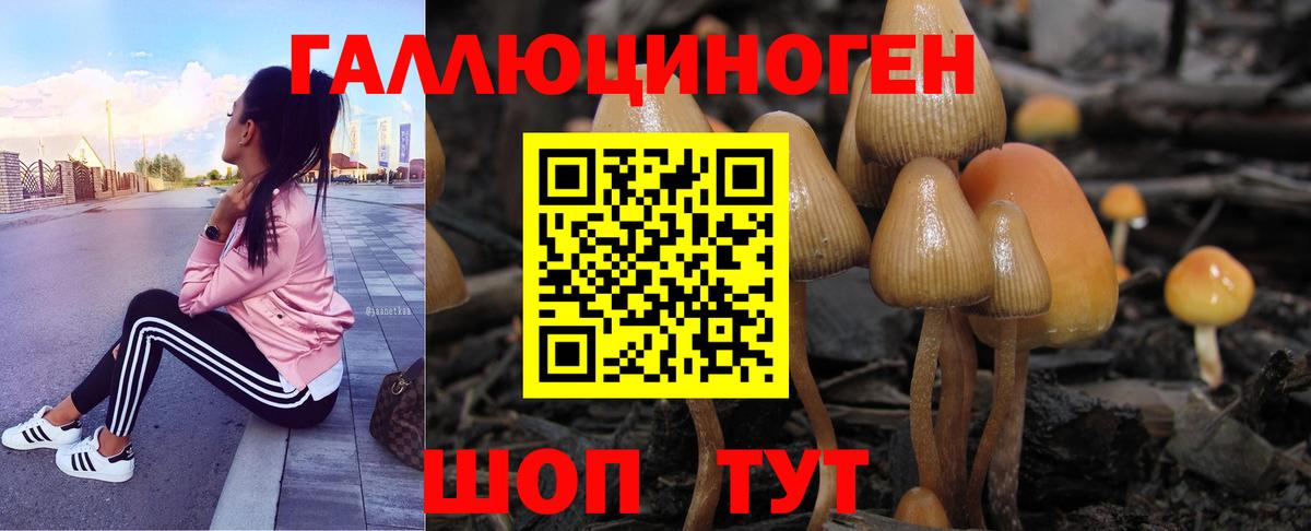 Псилоцибиновые грибы Magic Shrooms Вязники